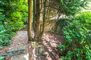 Photo 15- click for photo gallery